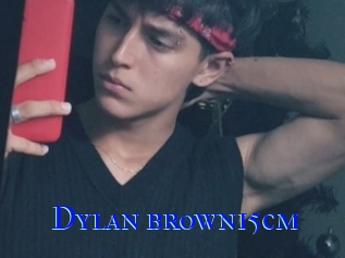 Dylan_brown15cm