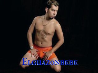 Elguazonbebe