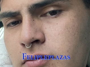 Felipleplazas