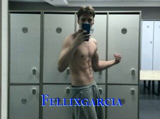 Fellixgarcia