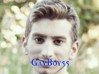 GayBoy55