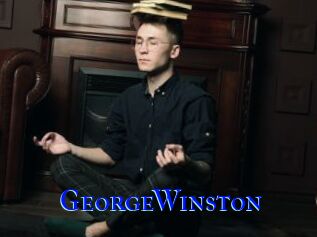 GeorgeWinston