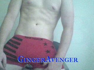 GingerAvenger