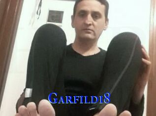 Garfild18