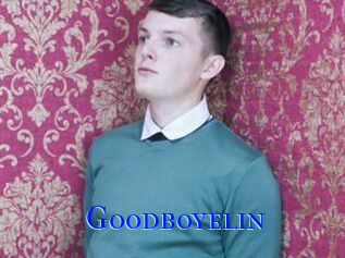 Goodboyelin