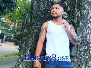 HarveyRose