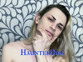 HauntedDog