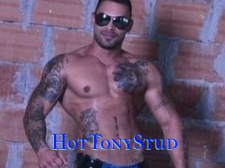 HotTonyStud