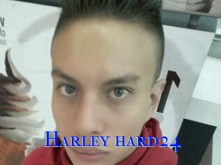 Harley_hard24