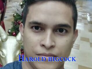 Harold_bigcock