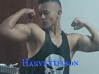 Harveytecson