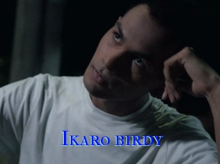 Ikaro_birdy