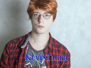 KevinTiger