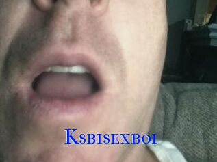 Ksbisexboi