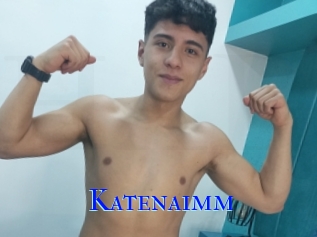 Katenaimm