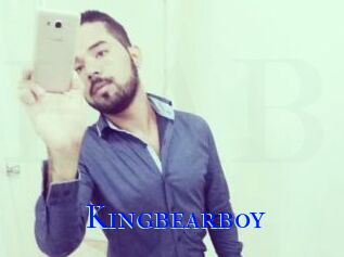 Kingbearboy