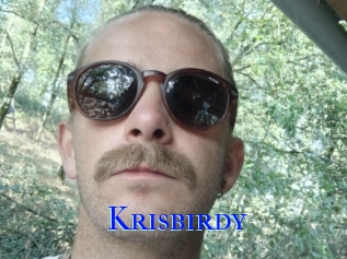 Krisbirdy