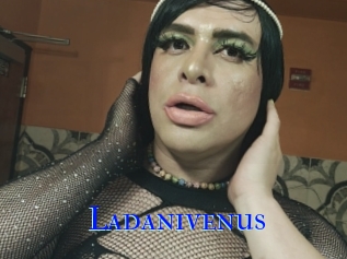 Ladanivenus