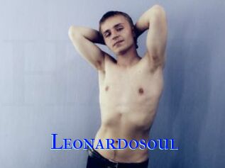 Leonardosoul