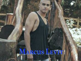 Marcus_Levit