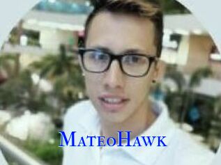 MateoHawk