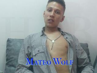 Mateo_Wolf