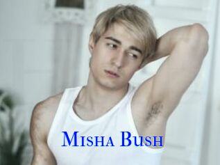 Misha_Bush