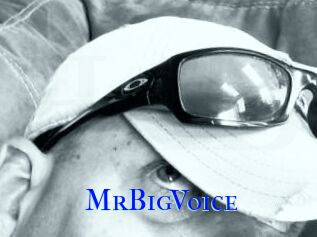 MrBigVoice