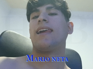 Mario_neta