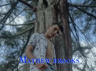 Mathew_brooks