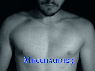 Mecchaud123