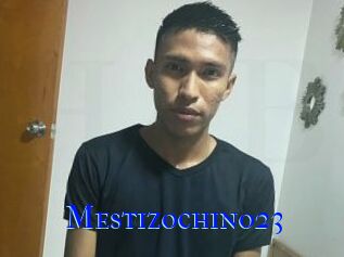 Mestizochino23