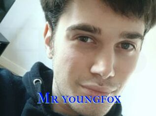 Mr_youngfox