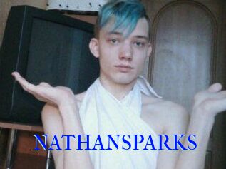 NATHAN_SPARKS