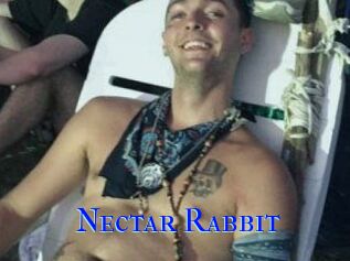 Nectar_Rabbit