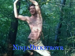 NinjaDickstroyr