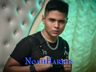 NoahHarris