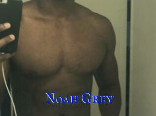 Noah_Grey