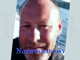 Norwegian_gay