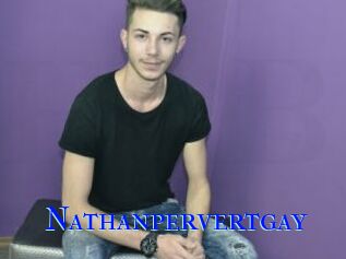 Nathanpervertgay