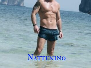 Nattenino