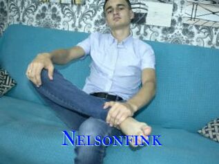 Nelsonfink