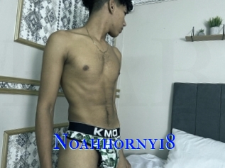 Noahhorny18