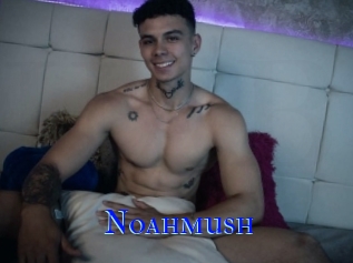 Noahmush