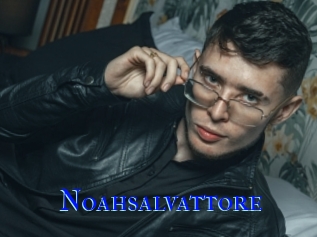 Noahsalvattore