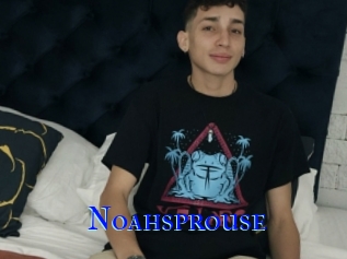 Noahsprouse