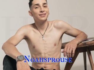 Noahsprouse