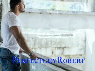 PerfectguyRobert