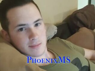 PhoenixMS