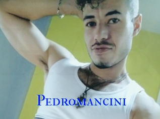 Pedromancini